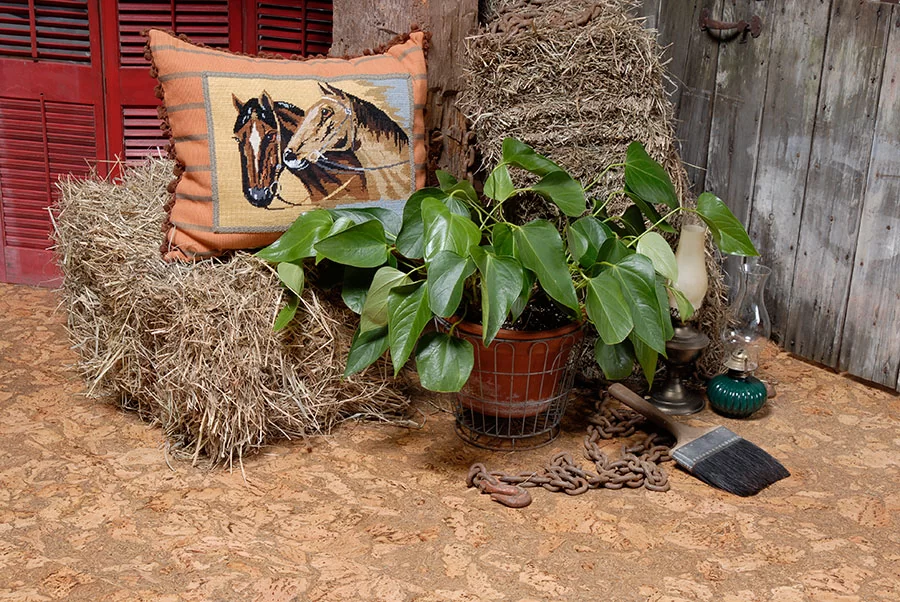 пробковые полы