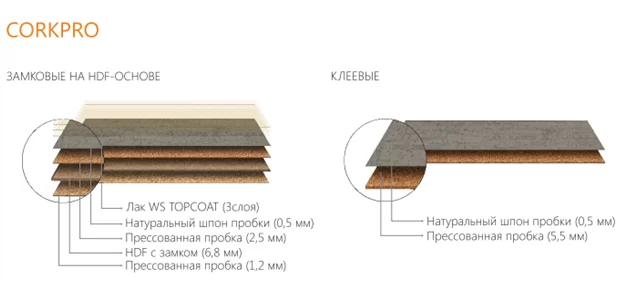 Пробковый пол Corkstyle с цветным шпоном