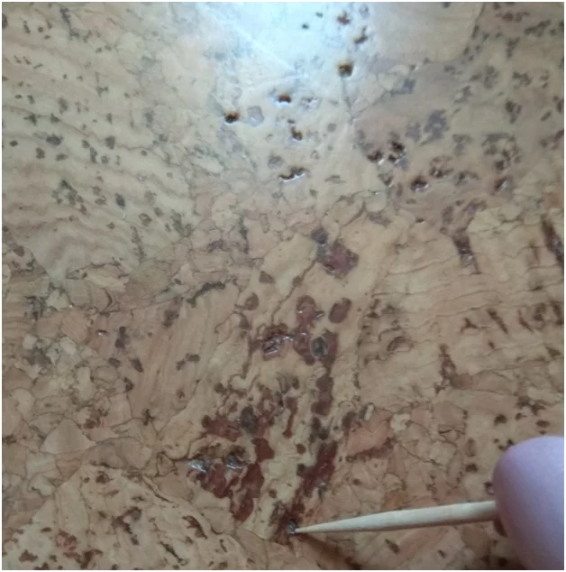 Отверстия на полах в пробковом шпоне