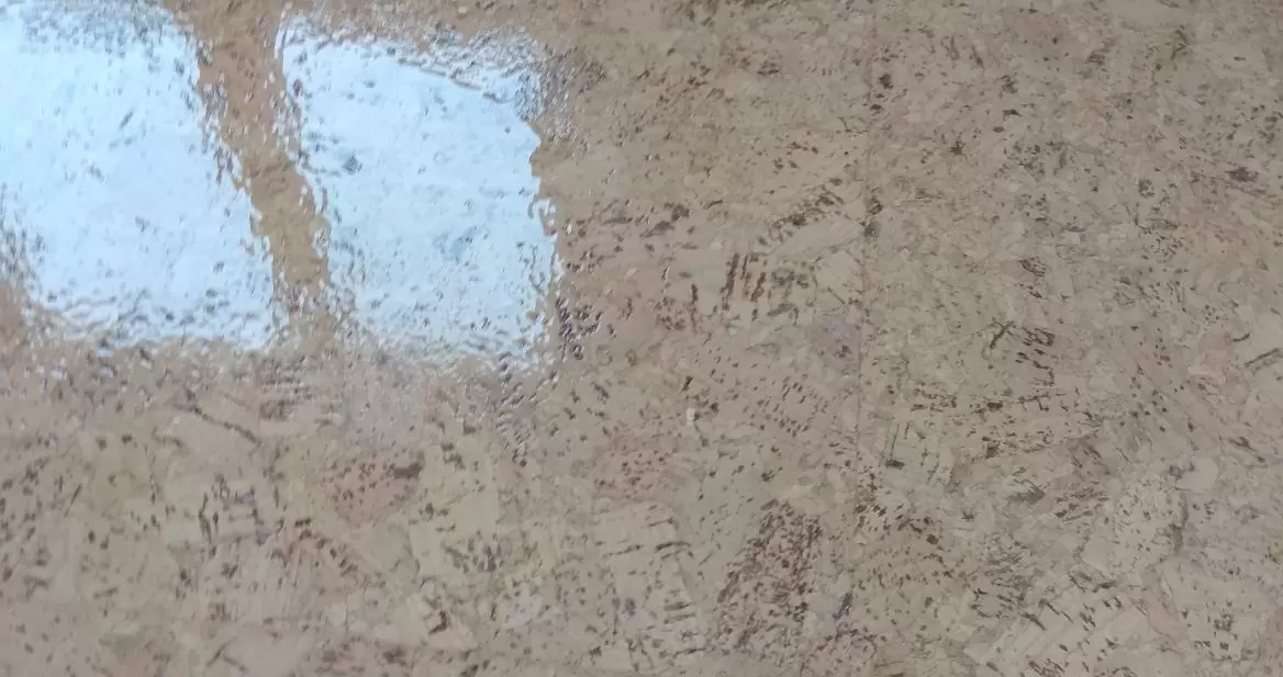 Лак Bona — преимущества