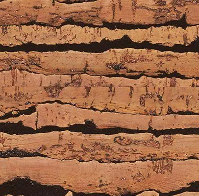 6 mm клеевой пробковый пол Corkstyle Tigre купить