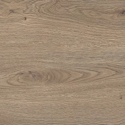 Сосна северная в интерьере