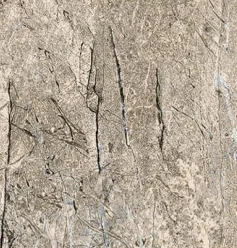 SPC ламинат Stepton Urban 904 Камень слюда по ценам производителя