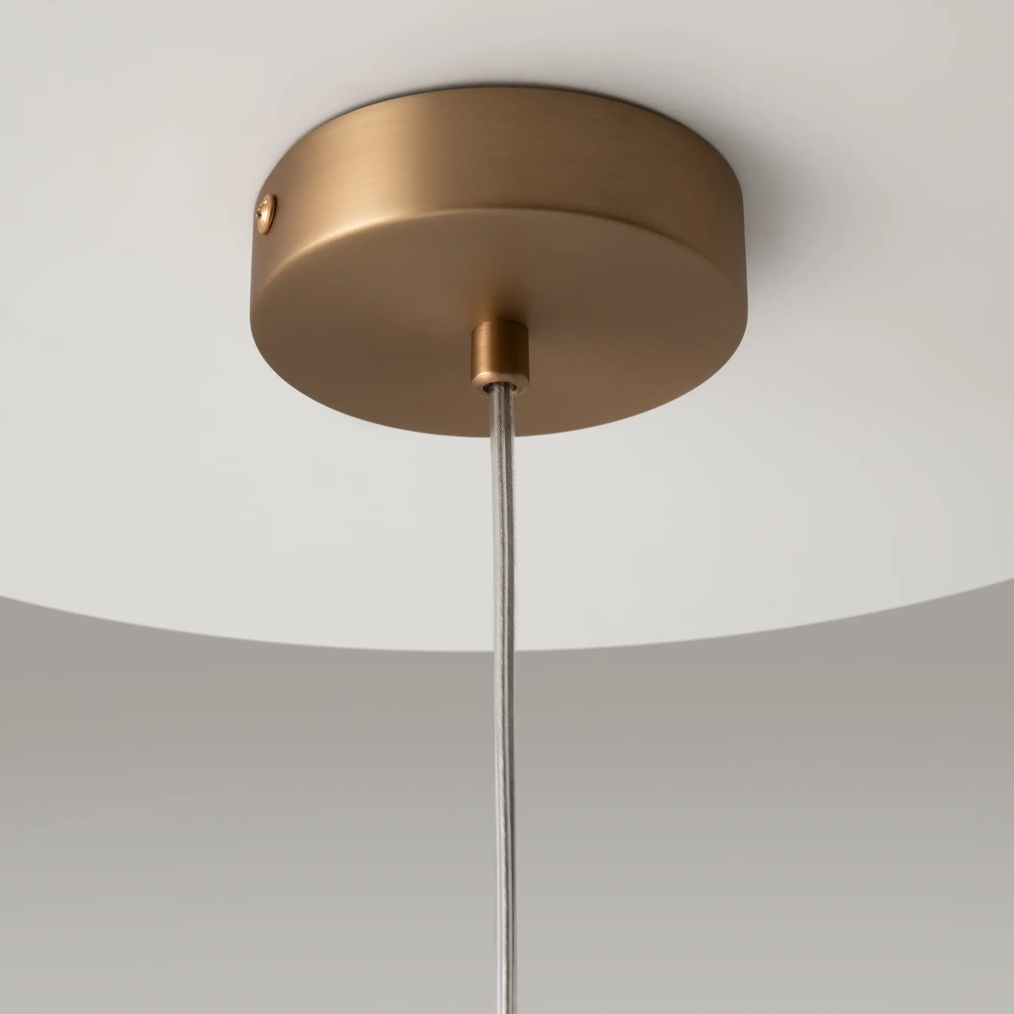 Подвесной светильник Maytoni MOD113PL-01W