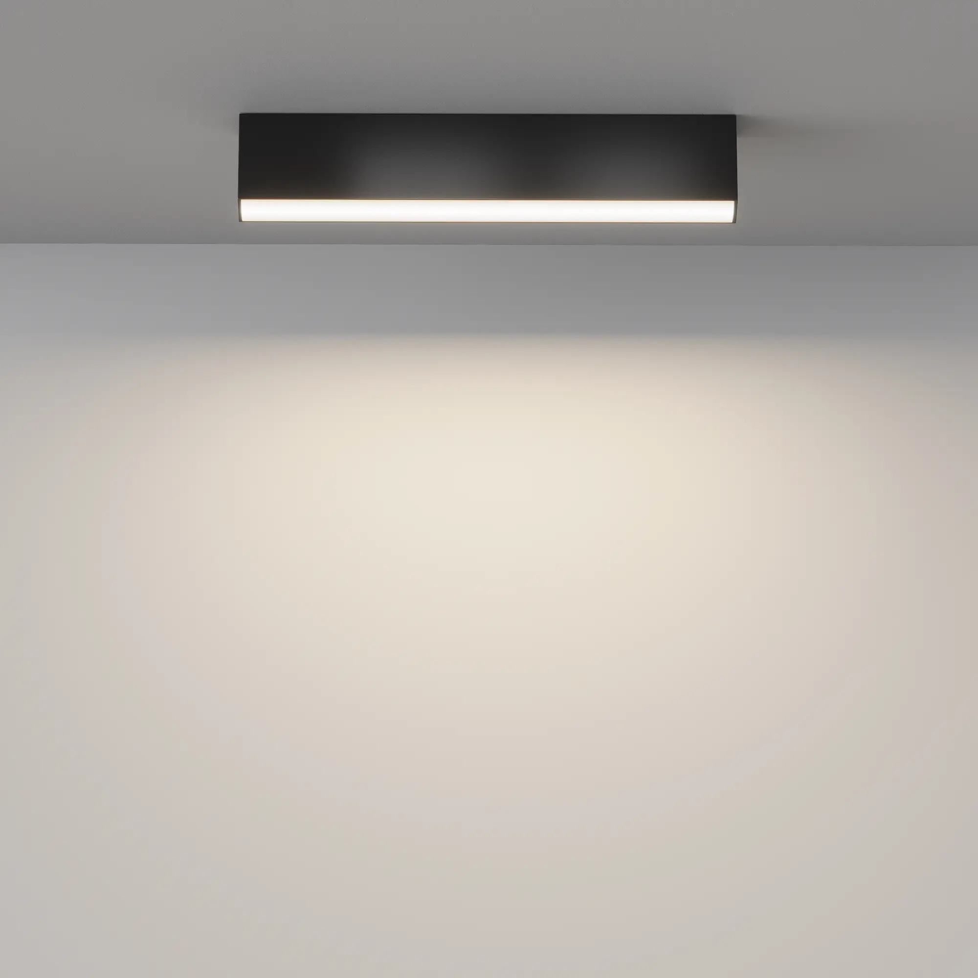 Потолочный светильник Technical C068CL-20W3-6K-B