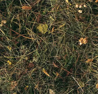 Пробковый пол с дизайном под дерево