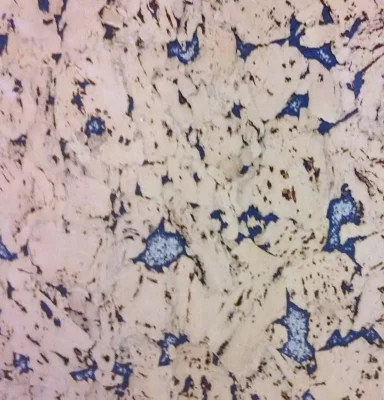 Настенное пробковое покрытие BFM Cork NW 02409 Tabago exclusive blue