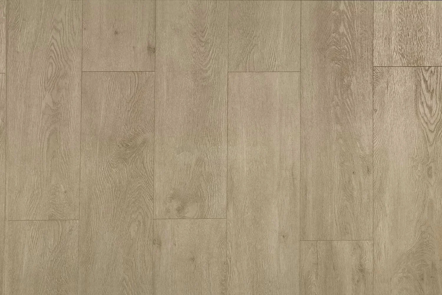 SPC ламинат Alpine Floor Grand Sequioia Superior ABA Камфора ECO 11-503 купить