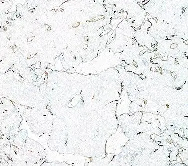 Настенная пробка Wicanders RY 77 001 Hawai White Exclusive цена