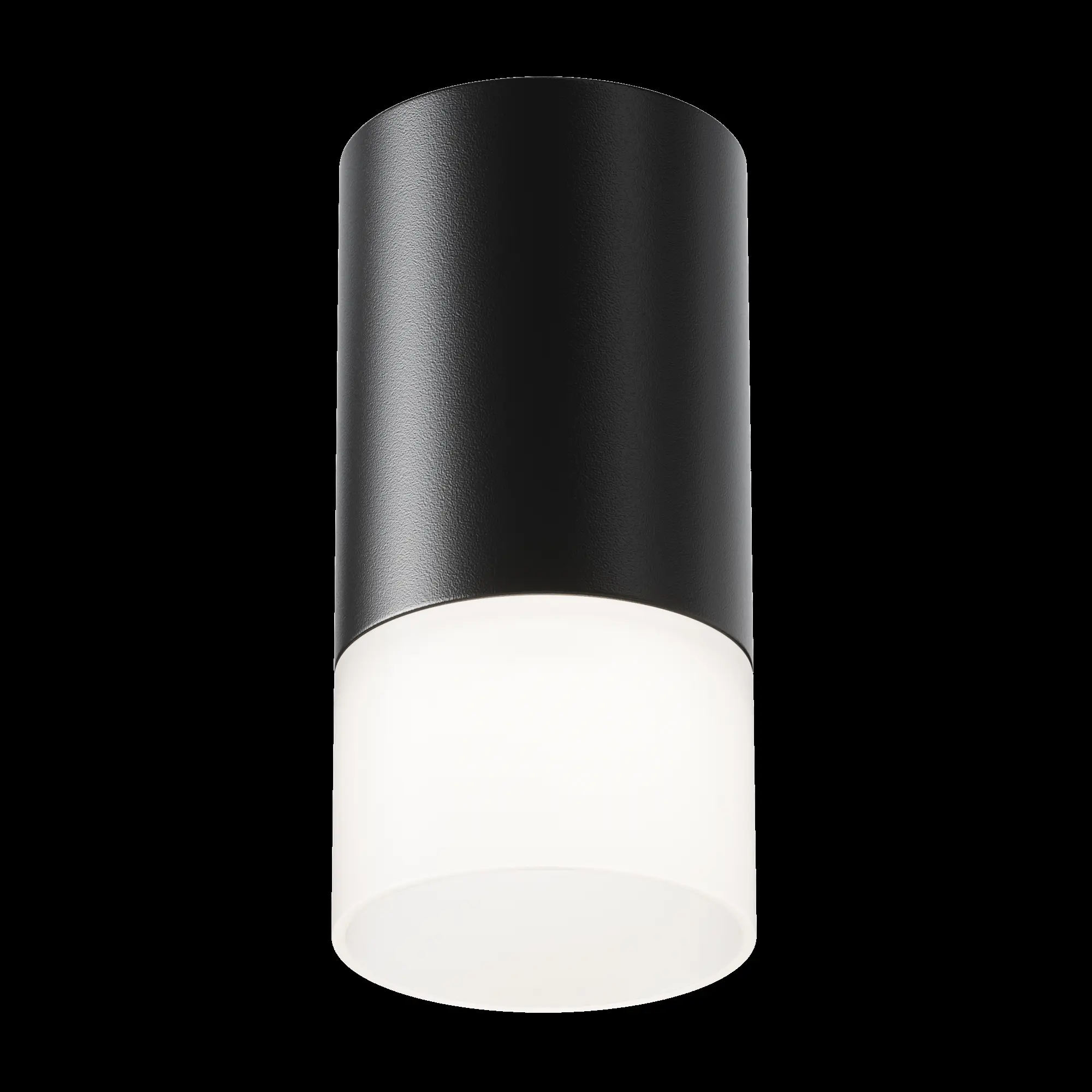 Потолочный светильник Technical C007CW-01B