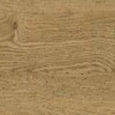 FP0046 Дуб Пробковый в квартире