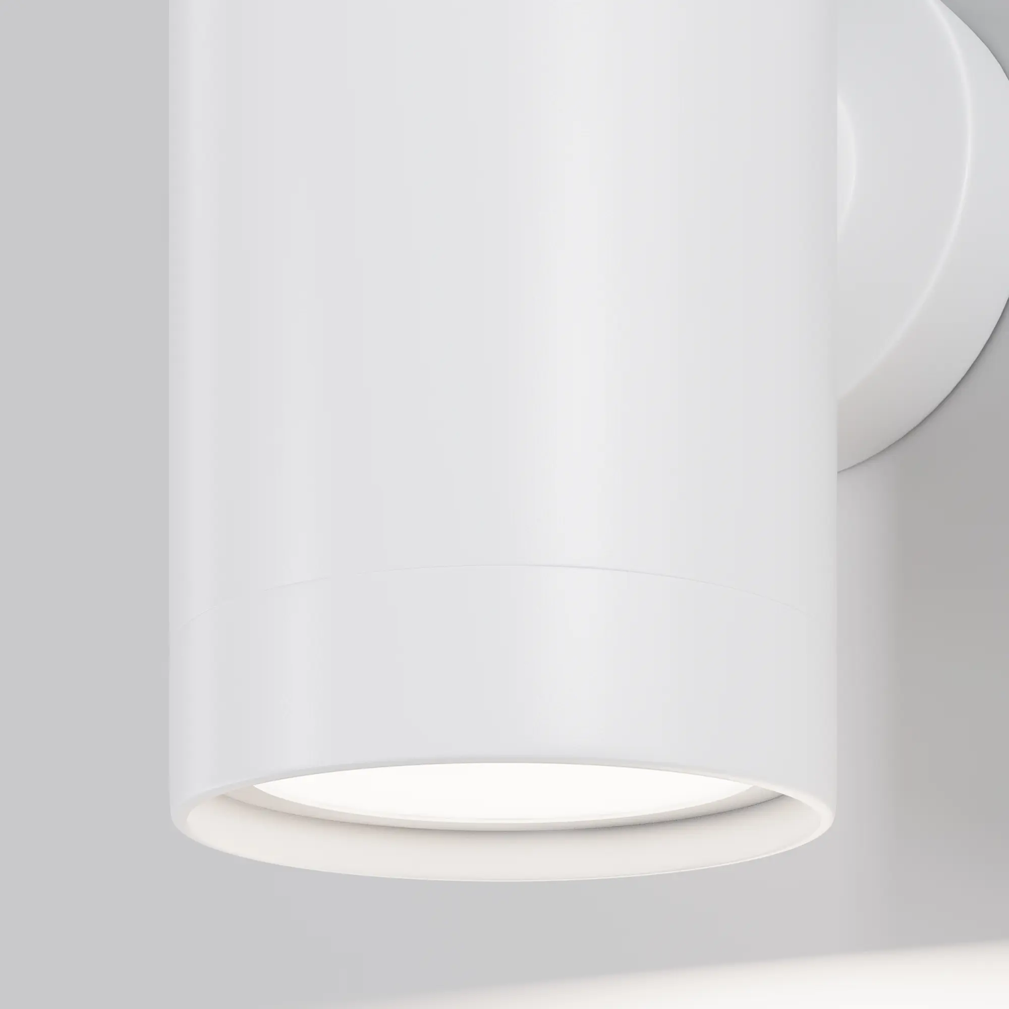 Настенный светильник (бра) Outdoor O493WL-01W