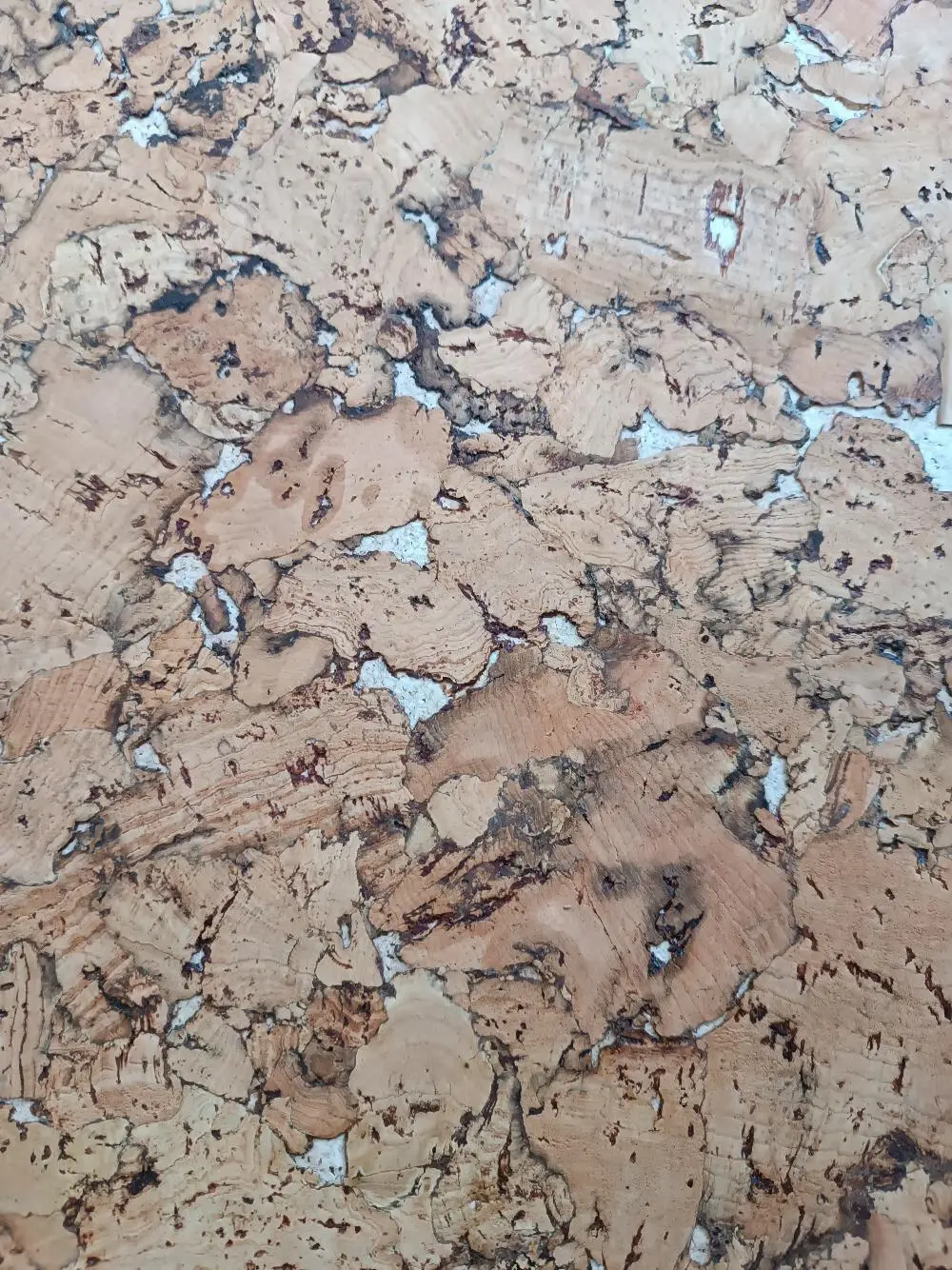 Пробковые стеновые панели Corkstyle Monte white Португалия