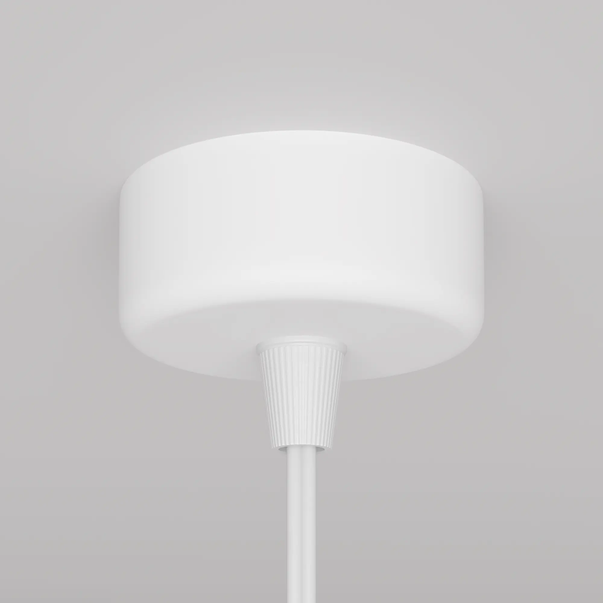 Подвесной светильник Technical P038PL-01W