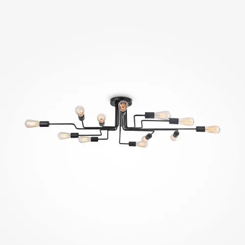 Потолочный светильник Maytoni T532CL-12B