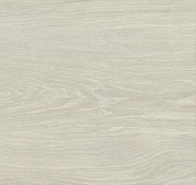 FP0052 Дуб северный в интерьере