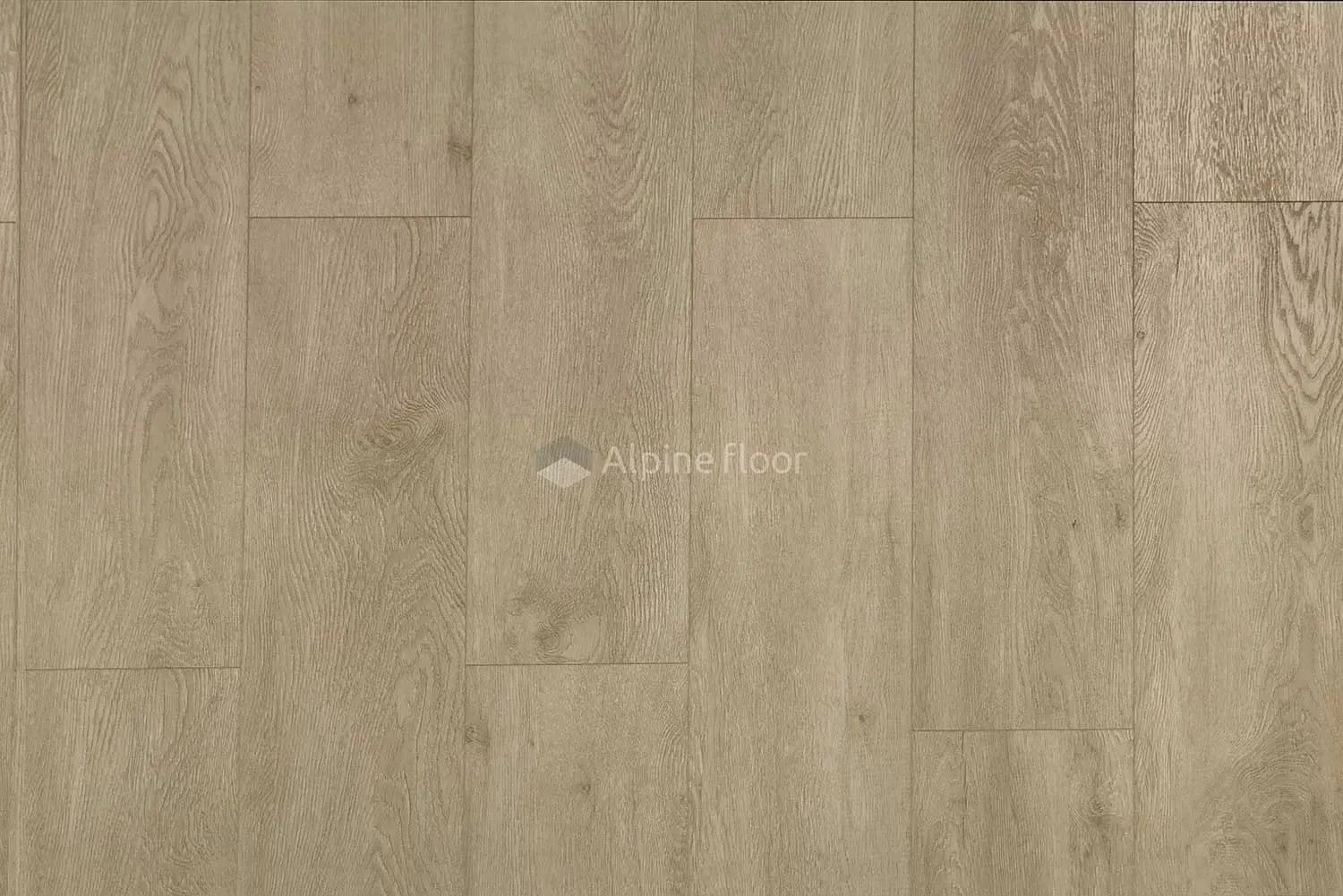 SPC ламинат Alpine Floor Grand Sequioia Light Камфора ЕСО 11-501 купить