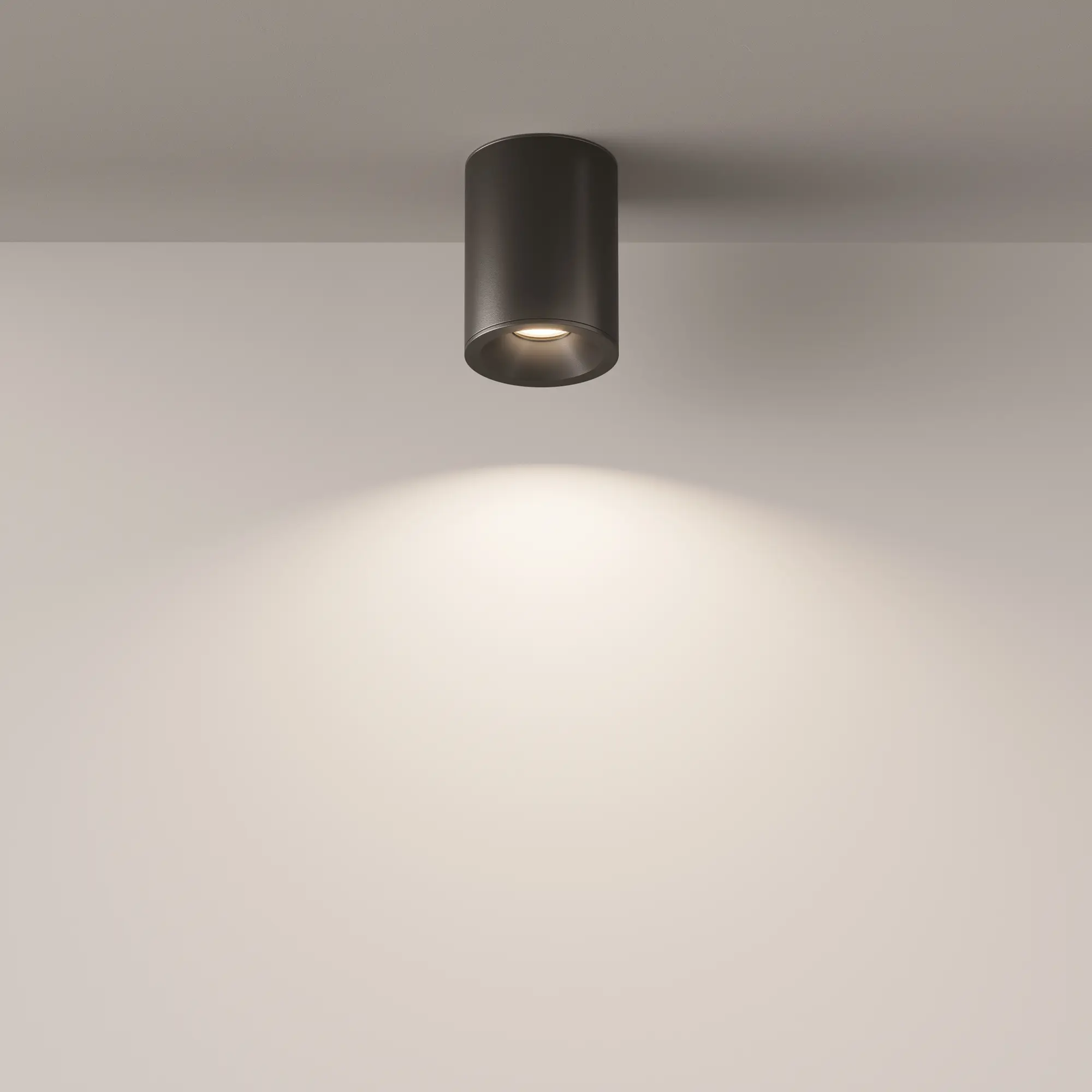 Потолочный светильник Technical C029CL-01B