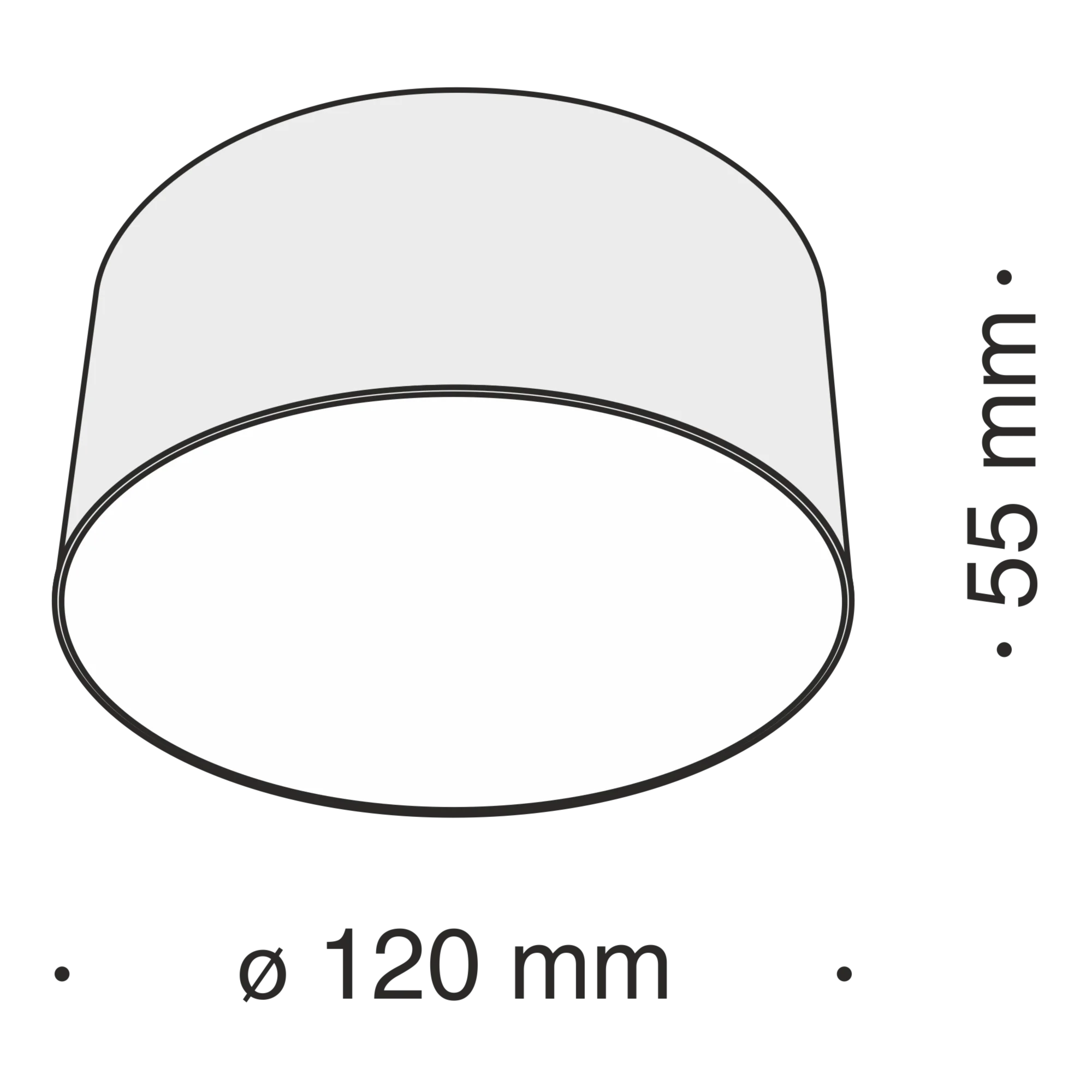 Потолочный светильник Technical C032CL-L12W4K