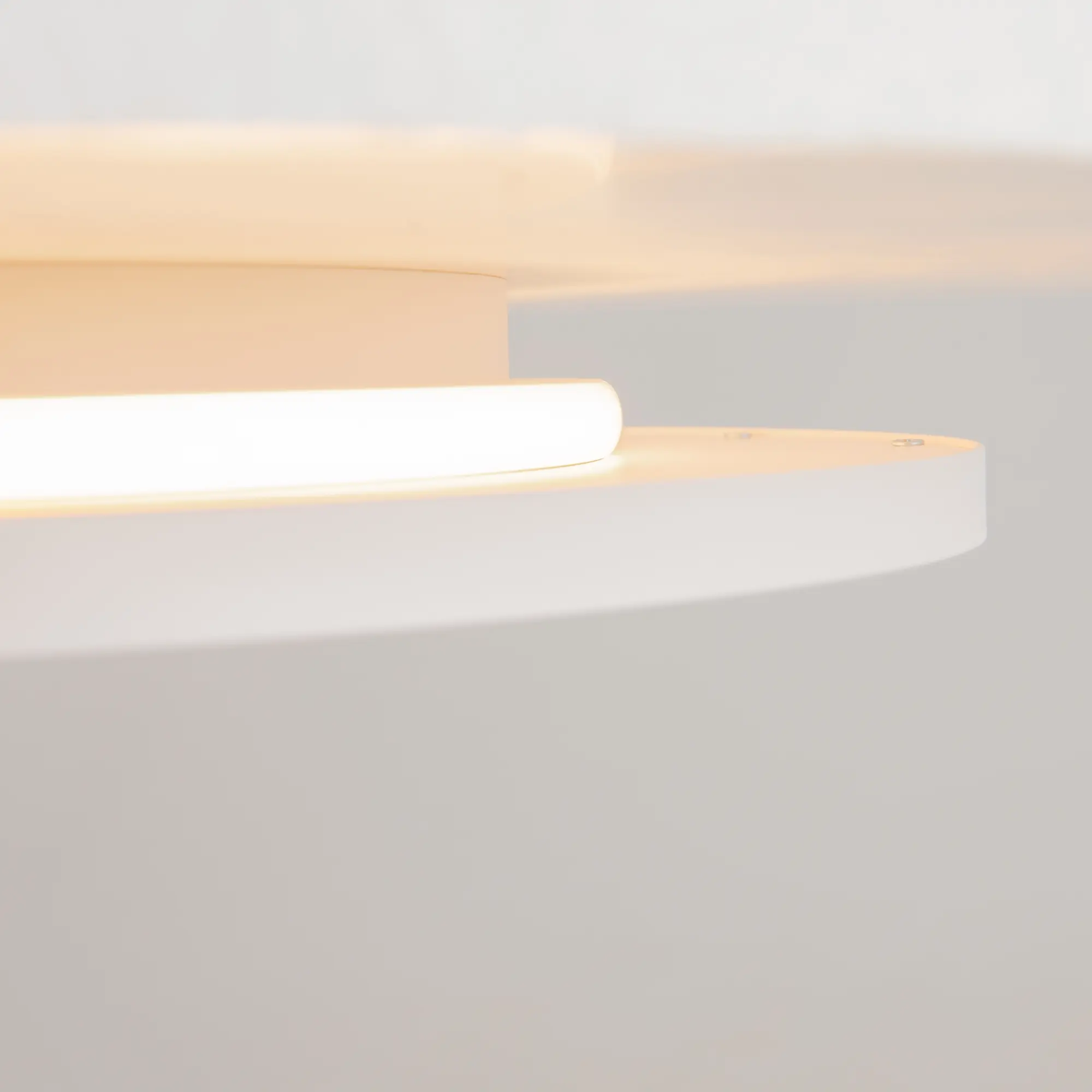 Потолочный светильник Maytoni MOD426CL-L43WK1