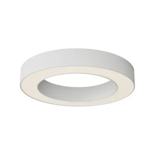 Потолочный светильник Technical C093CL-36W3K-W