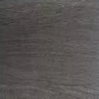 FP0034 Графитовое дерево в квартире