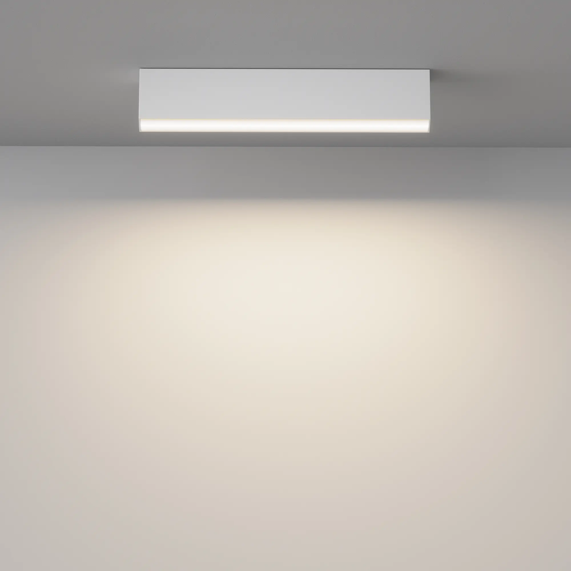 Потолочный светильник Technical C068CL-20W3-6K-W