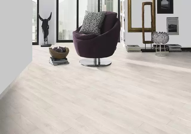 FP0052 Дуб северный в квартире