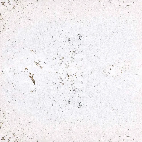 Пробковые панели Easycork Лорка