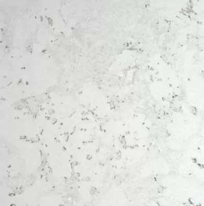 Настенная пробка Corksribas Iceberg white цена