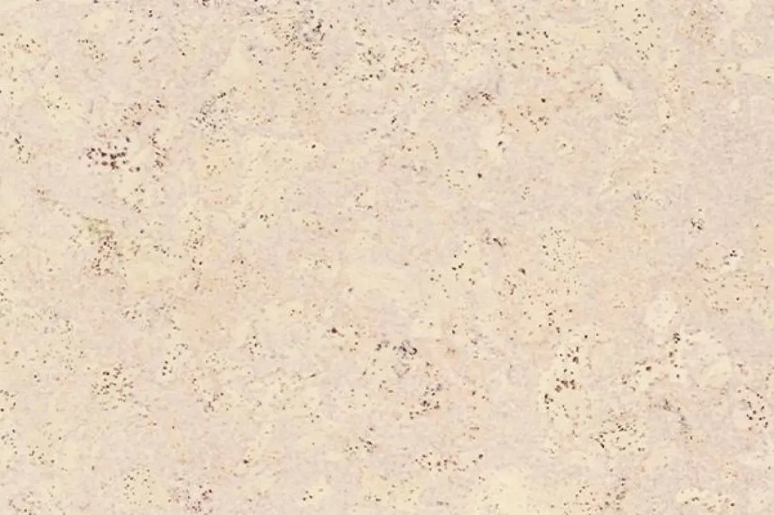 Пробковый ламинат 33 класса Madeira White (Швейцария)