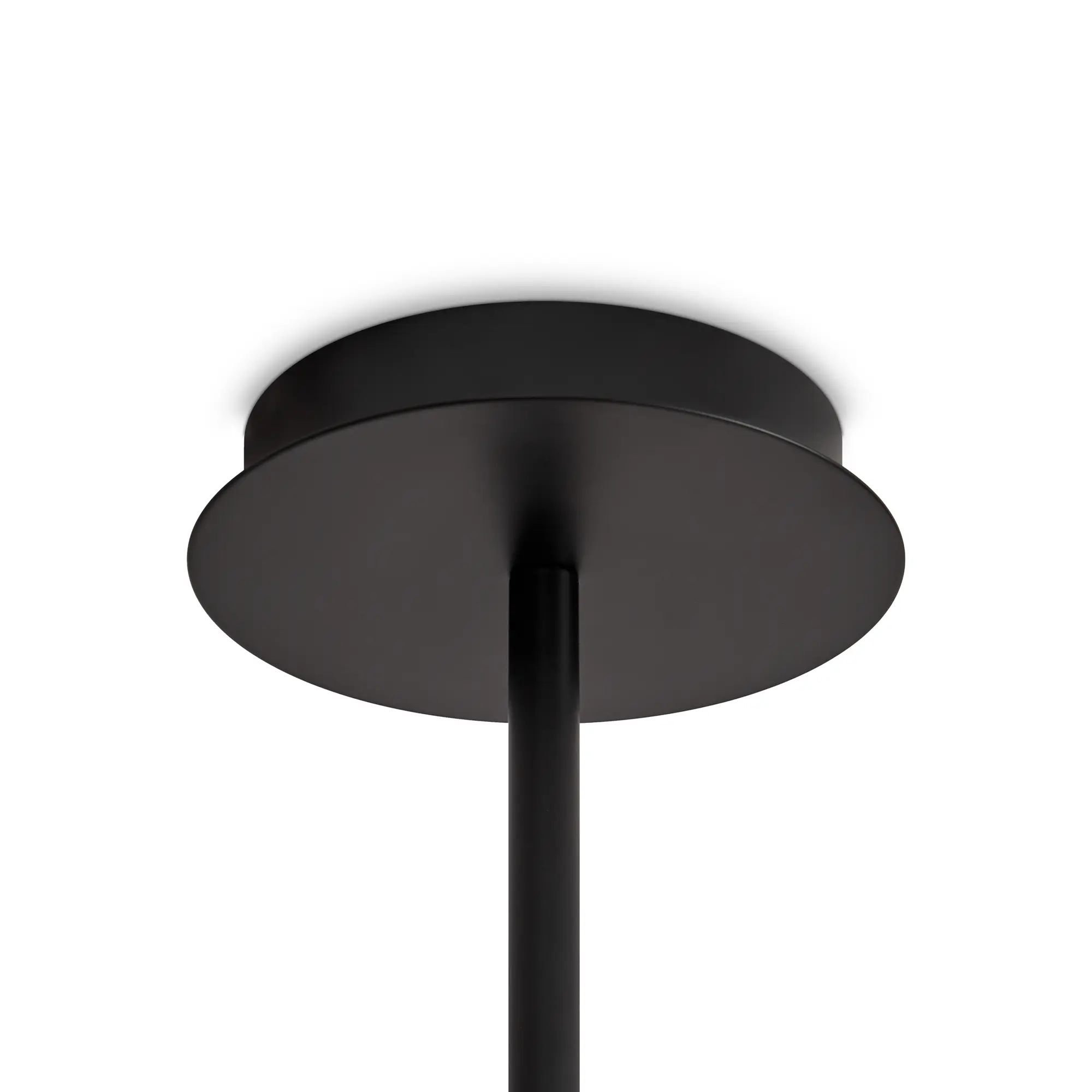 Потолочный светильник Freya FR5544CL-10B