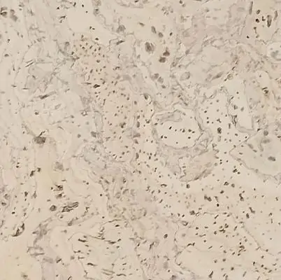 Клеевой пробковый пол 6 мм IberCork Толедо Крем 6 VG цена