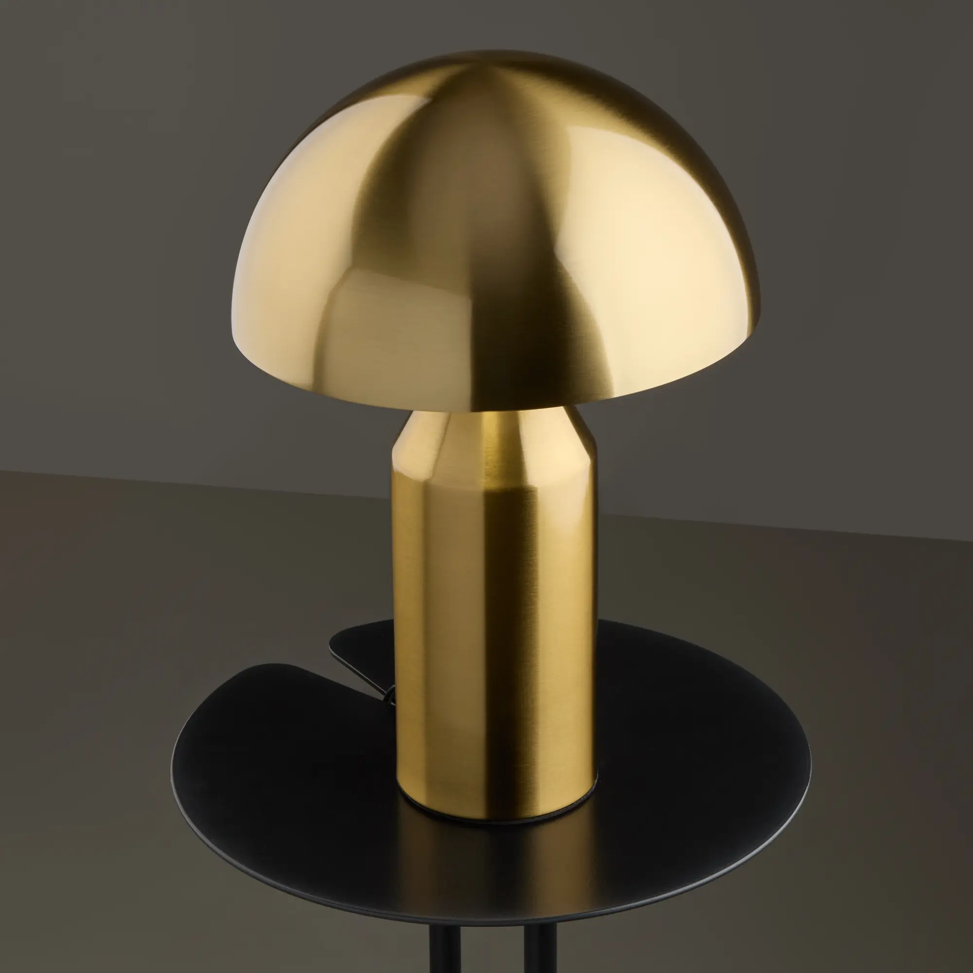 Настольный светильник Freya FR5218TL-01BS