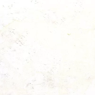 Настенное пробковое покрытие BFM Cork NW 903 Flora