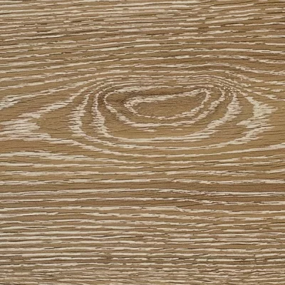 Дуб южный в квартире