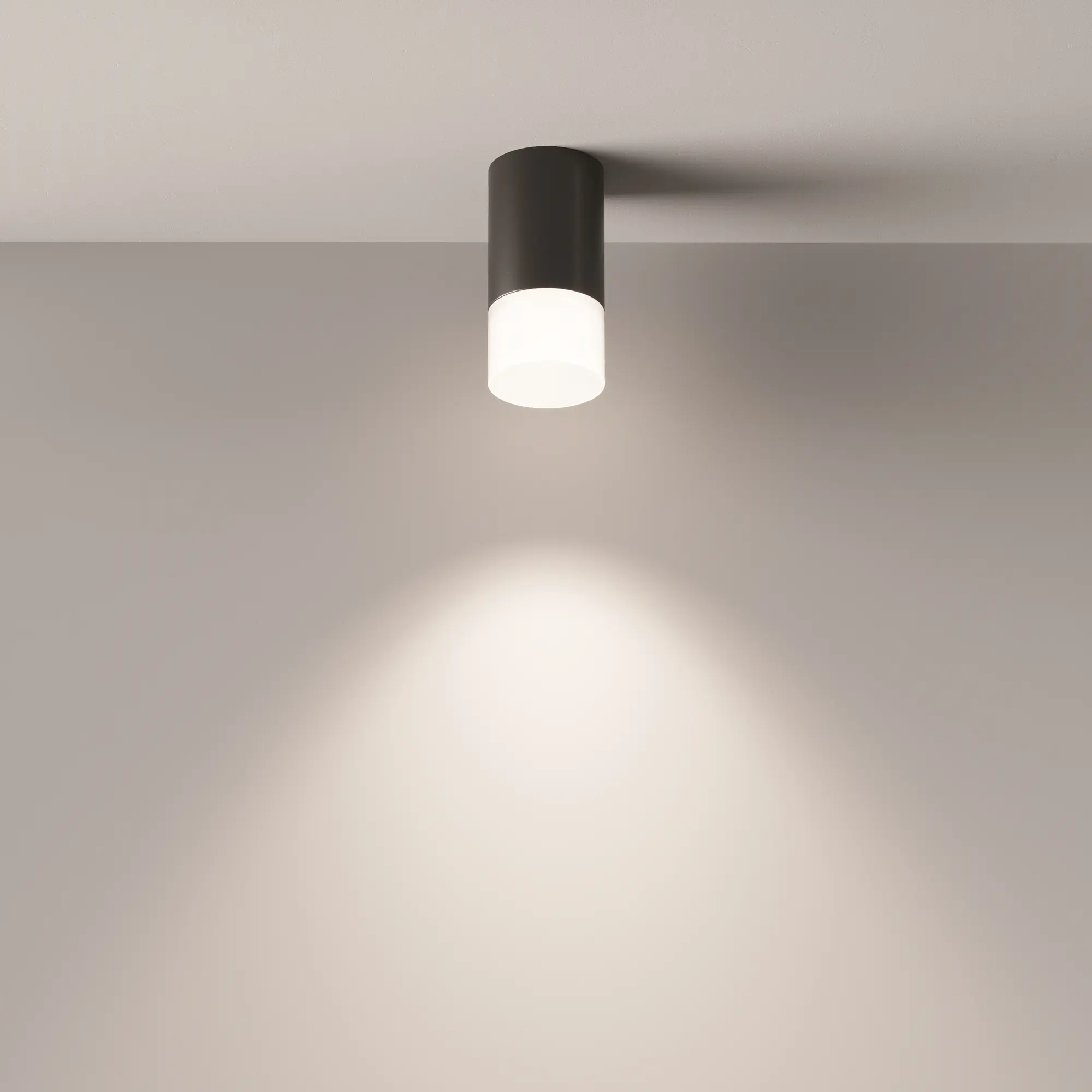 Потолочный светильник Technical C007CW-01B