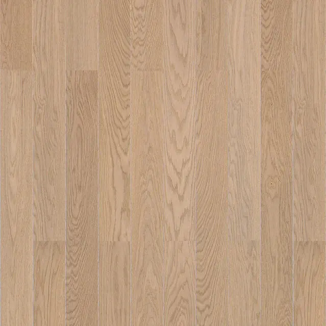 Дуб Песочный купить