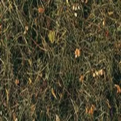 Пробковый пол с дизайном под дерево