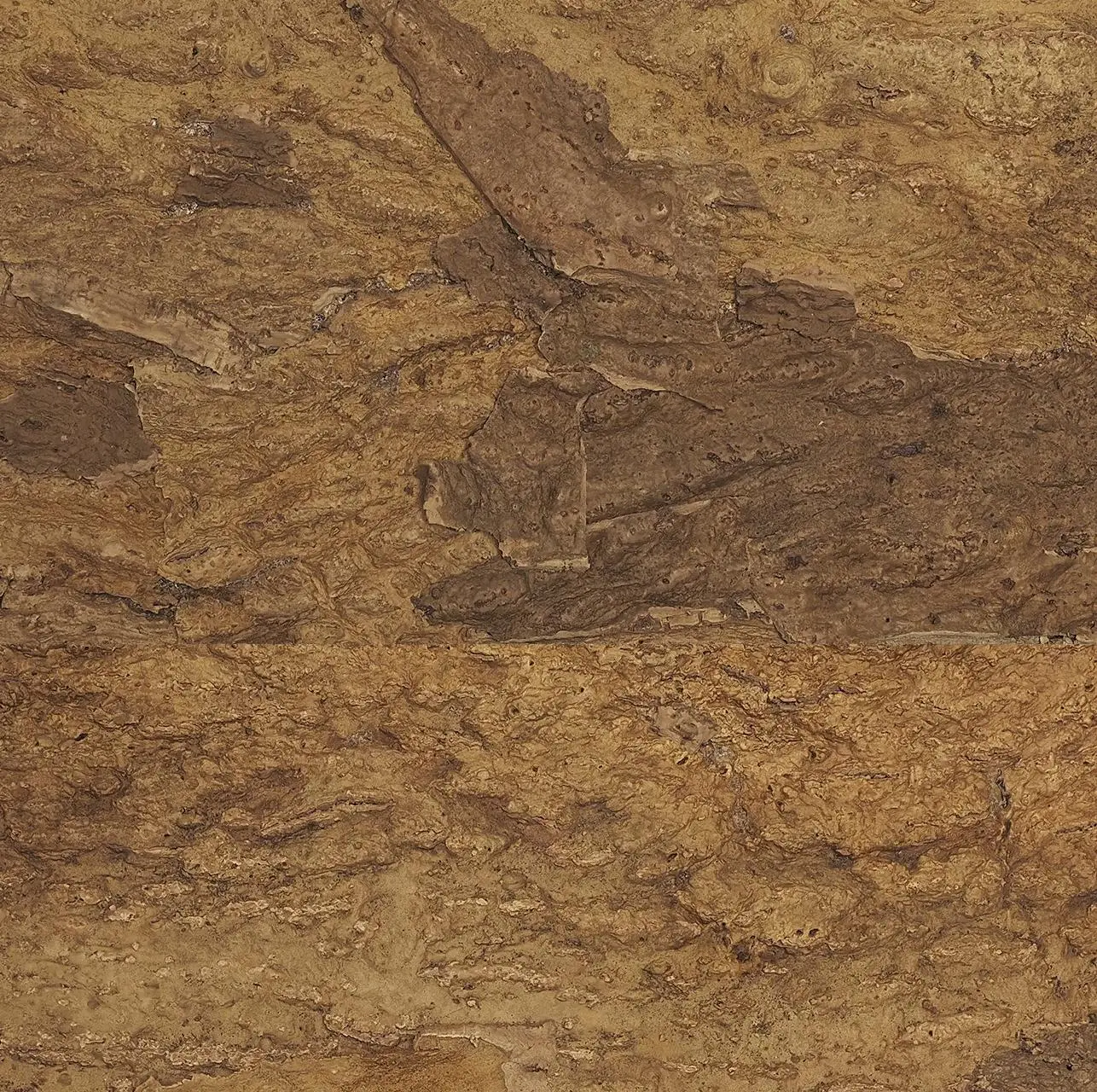 Дизайнерские пробковые панели Fomentarino Vero