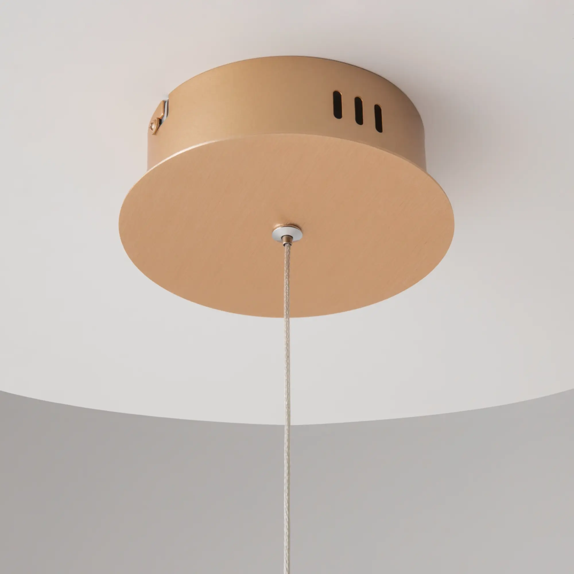 Подвесной светильник Maytoni MOD017PL-L13G