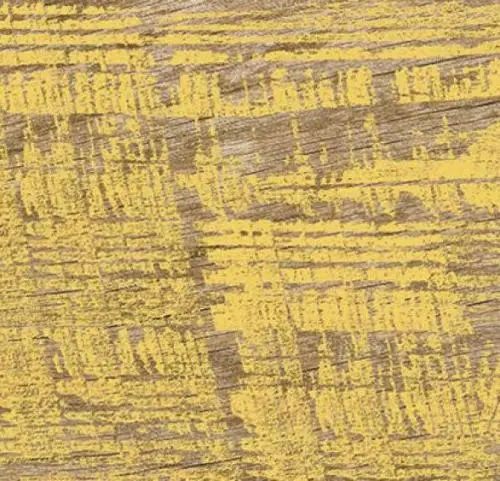 Пробковый пол с принтом