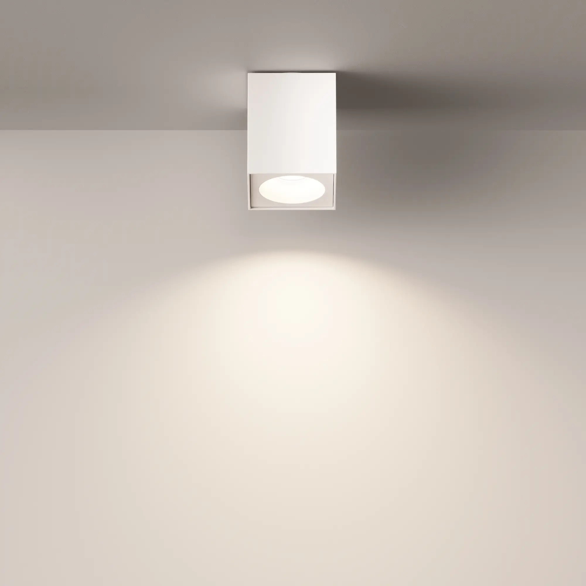 Потолочный светильник Technical C030CL-01W