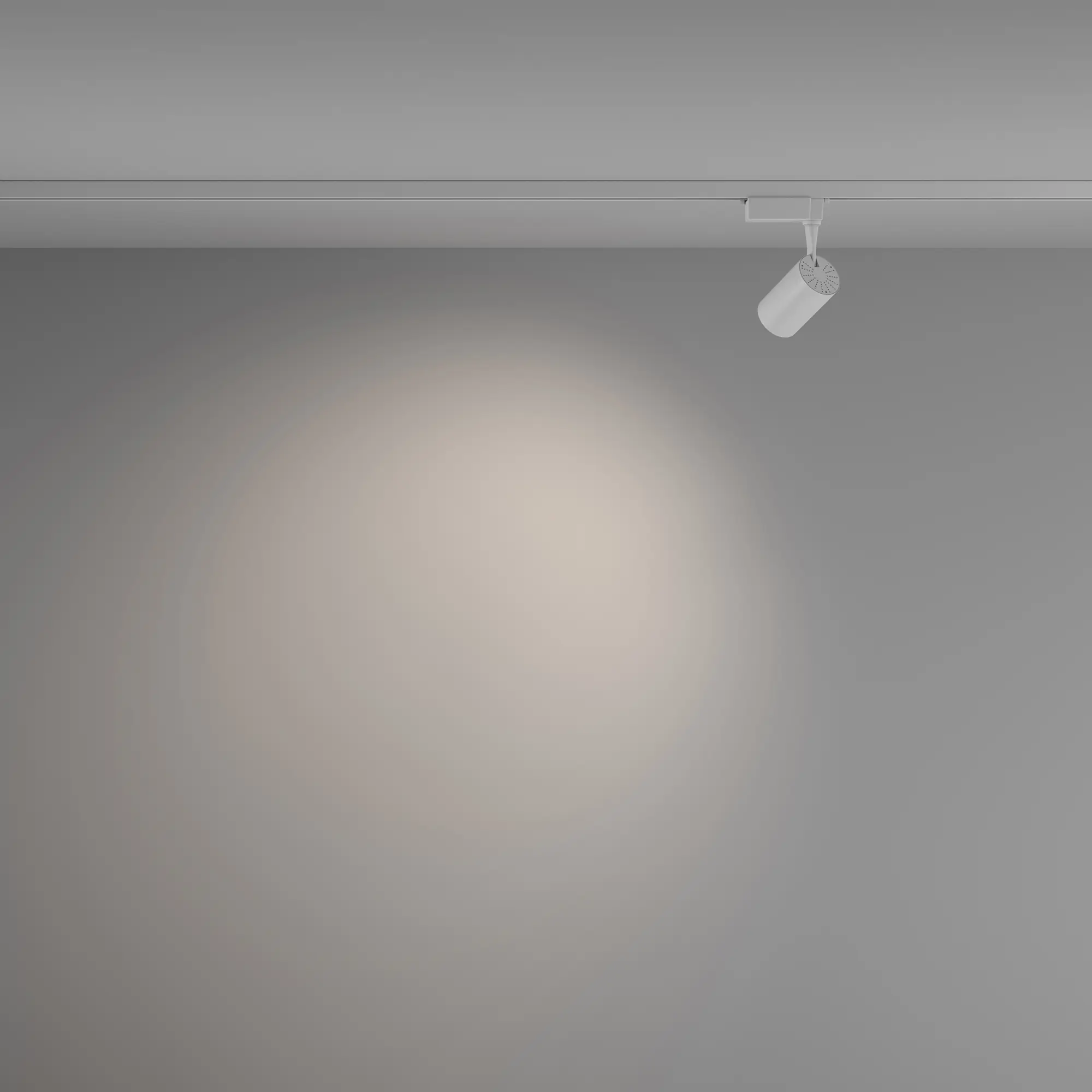 Трековый светильник Technical TR003-1-6W4K-W-W