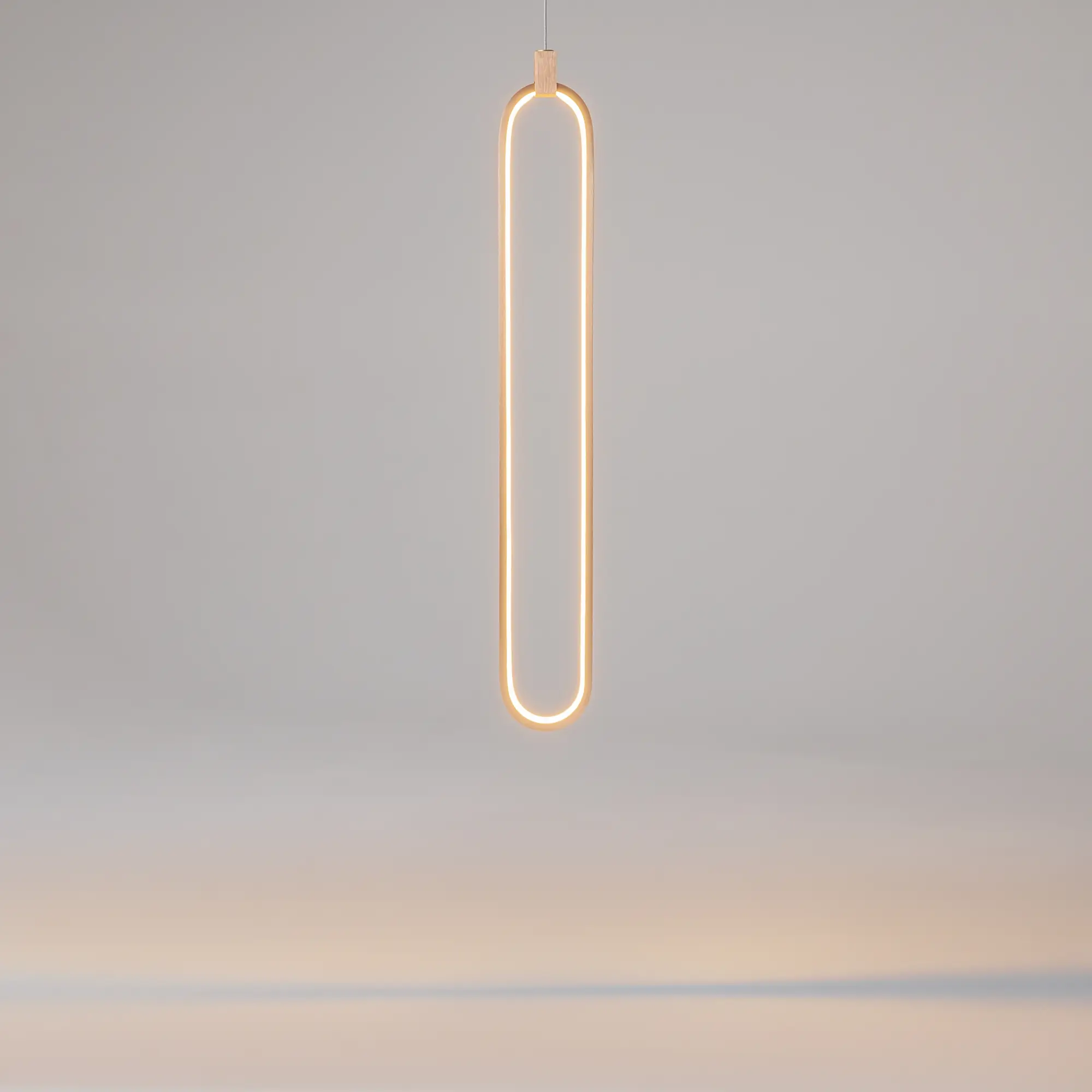 Подвесной светильник Maytoni MOD017PL-L13G