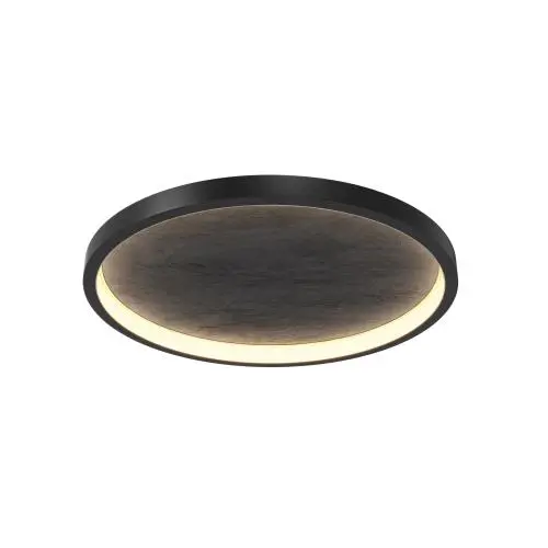 Потолочный светильник Maytoni MOD311CL-L40B3K