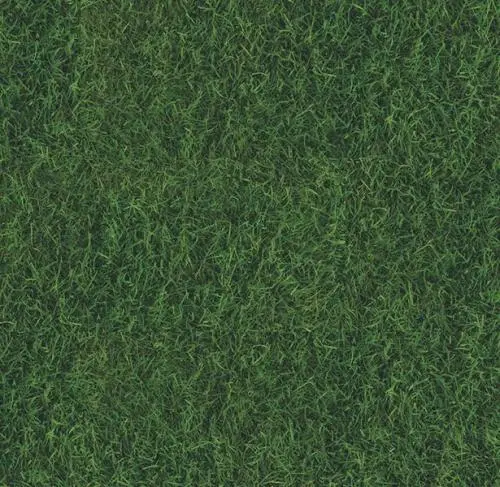 Пробковый пол с принтом