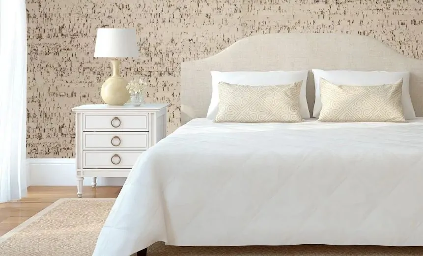 Достоинства и недостатки пробковых покрытий для стен