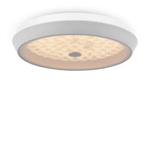 Потолочный светильник Freya FR10012CL-L24W