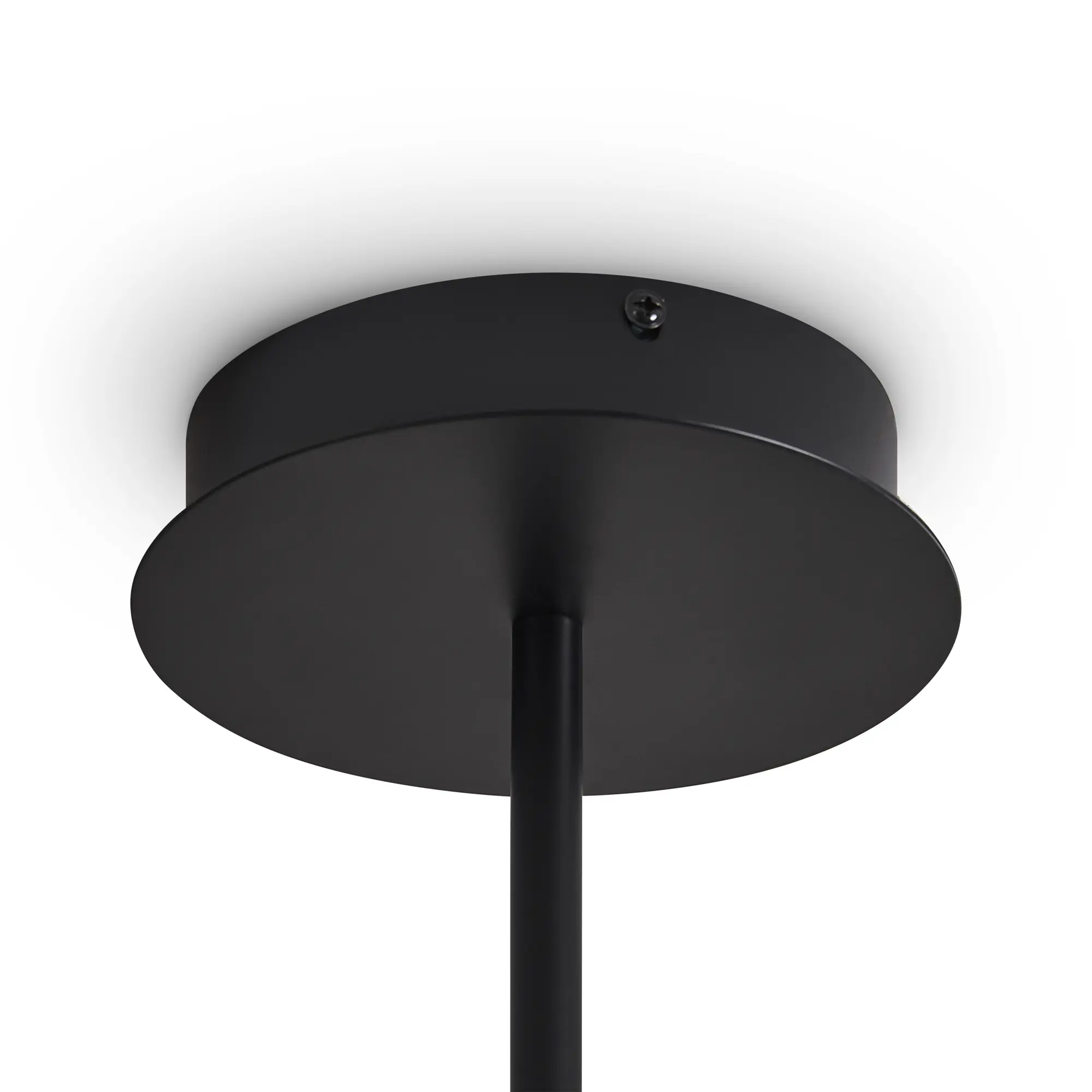 Потолочный светильник Freya FR5541CL-L30B